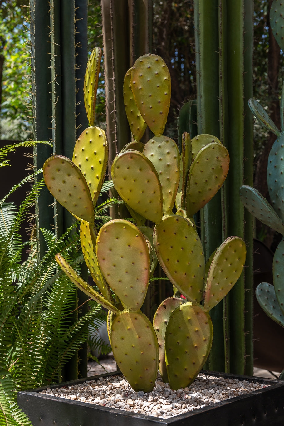 NOPAL